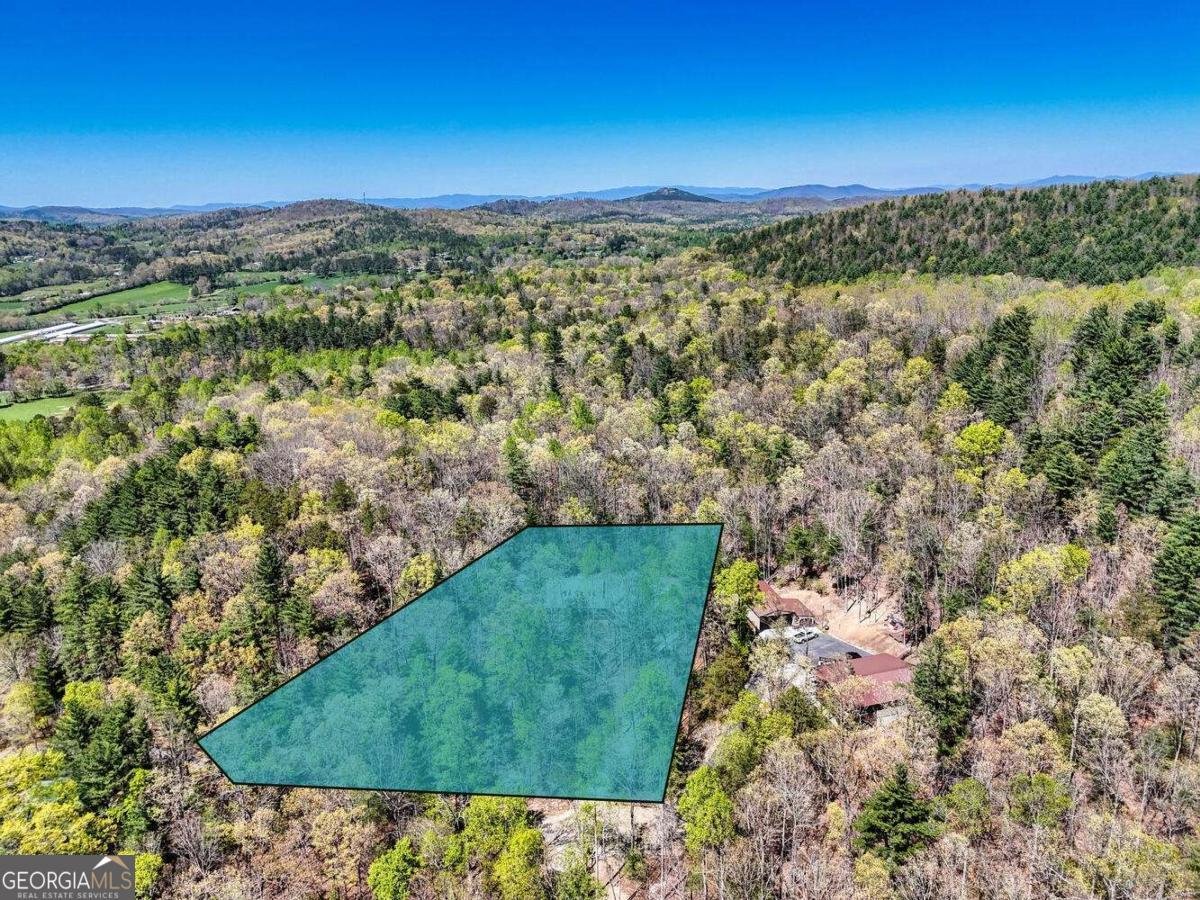 247 Enchanted Forest Lane Blairsville - 49