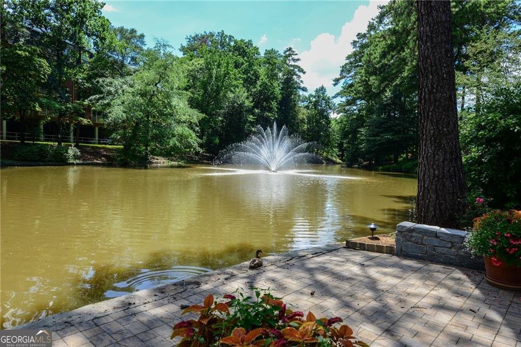 23310 Plantation Drive Atlanta - 37