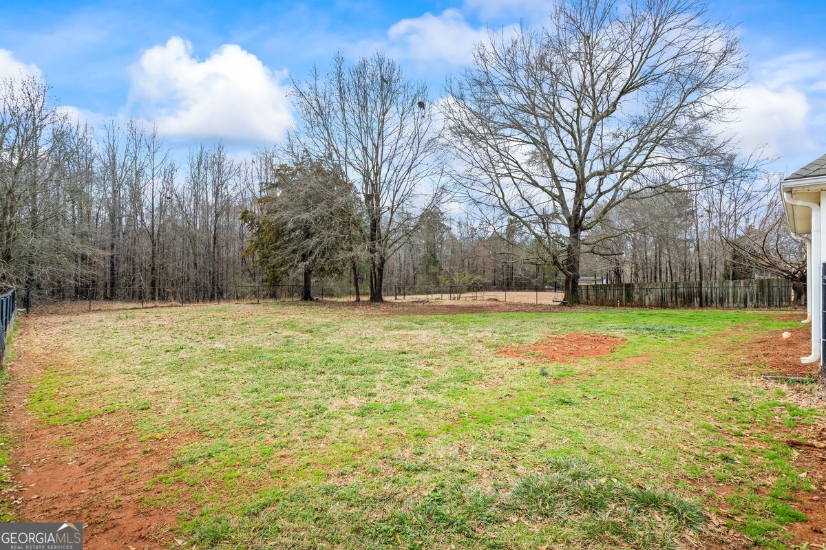 115 Stewart Hollow Lane Covington - 8