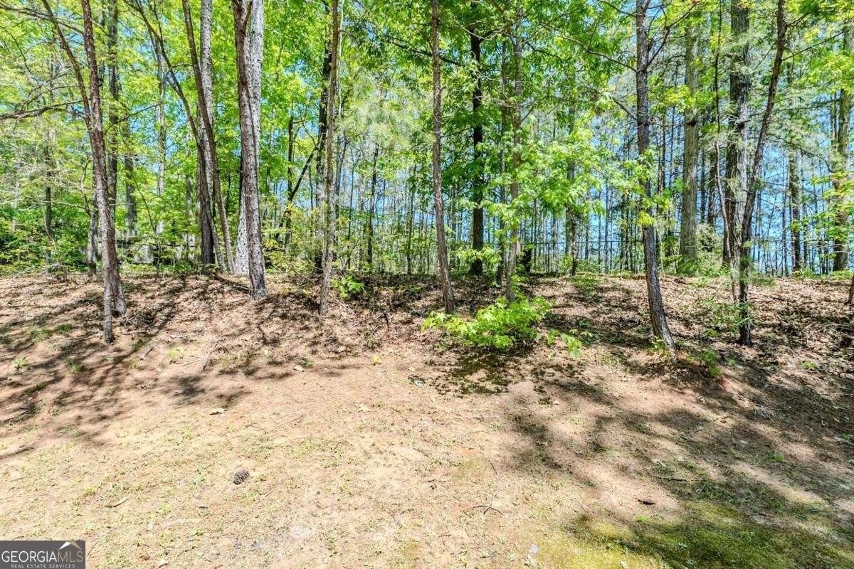 1665 Dunbarton Drive Lithonia - 22