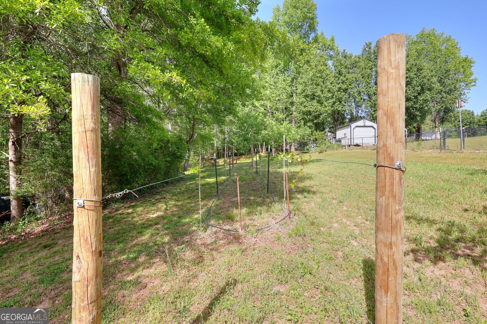 1725 Wyntercreek Lane Hoschton - 23