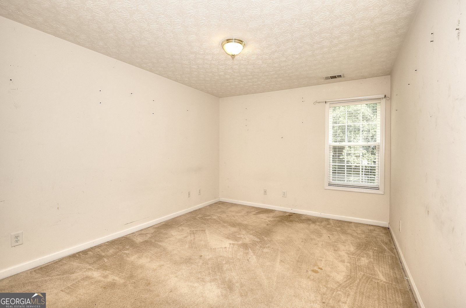 1725 Wyntercreek Lane Hoschton - 25