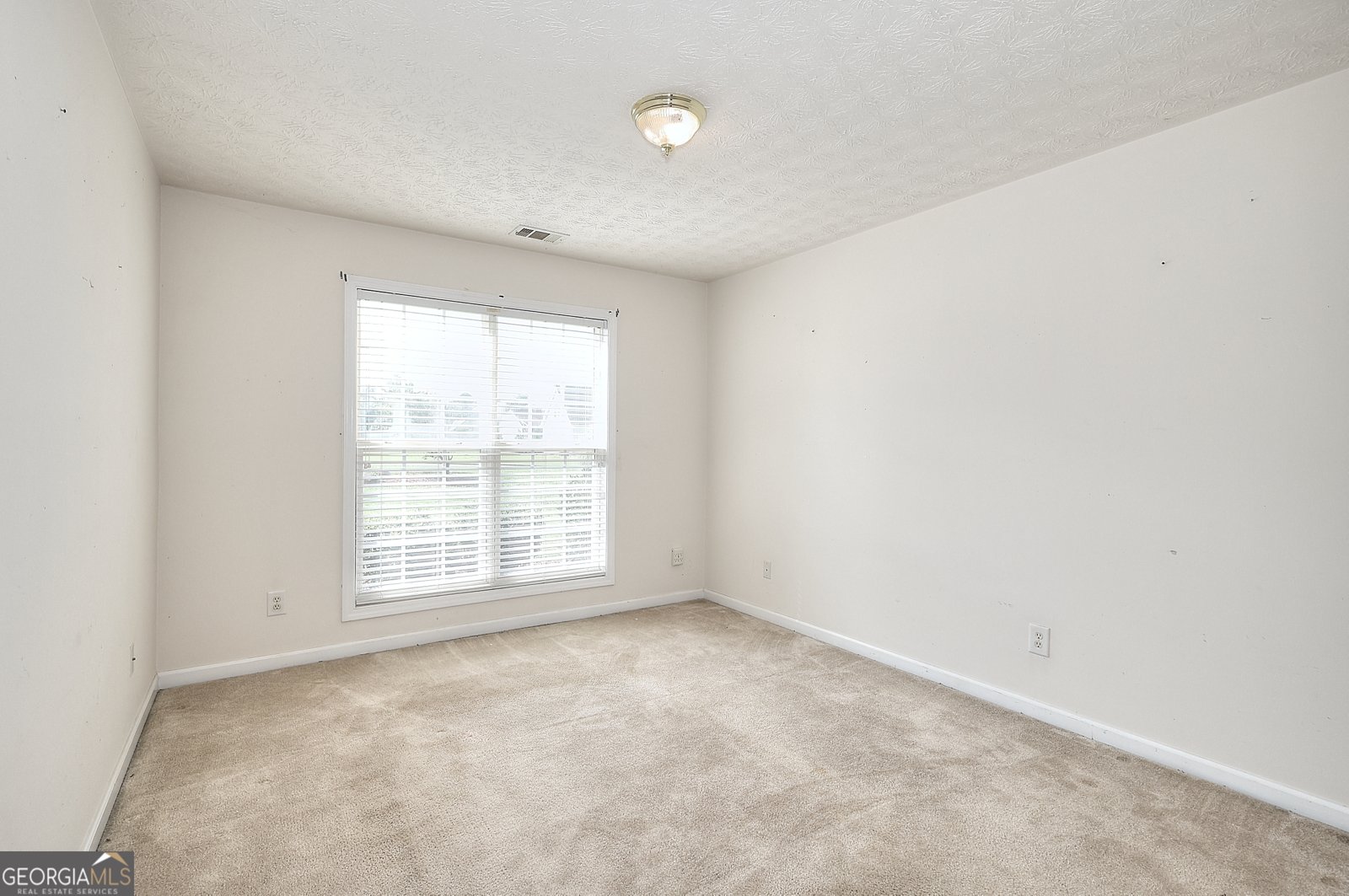 1725 Wyntercreek Lane Hoschton - 28