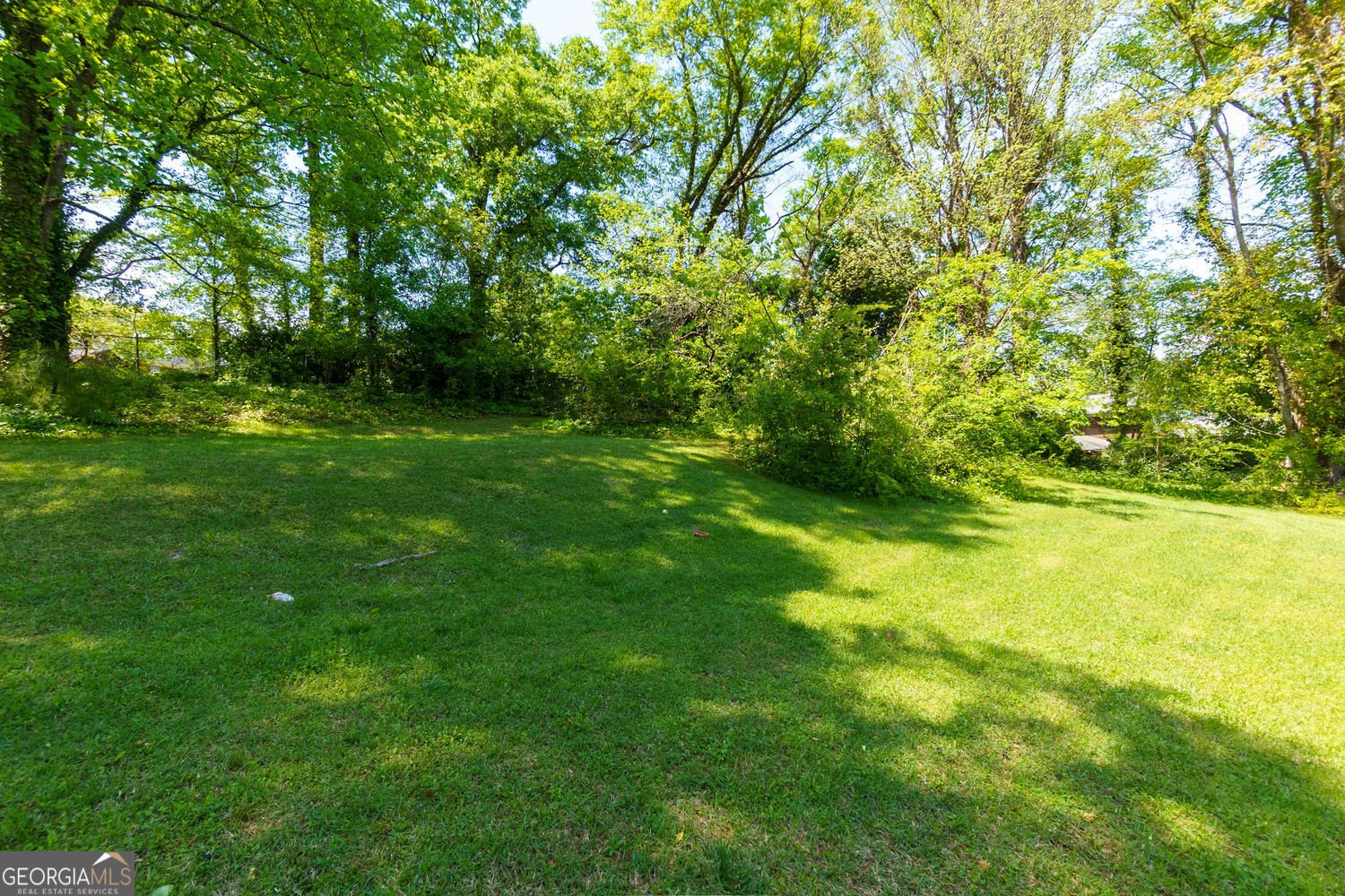 2673 Rainbow Forest Drive Decatur - 20