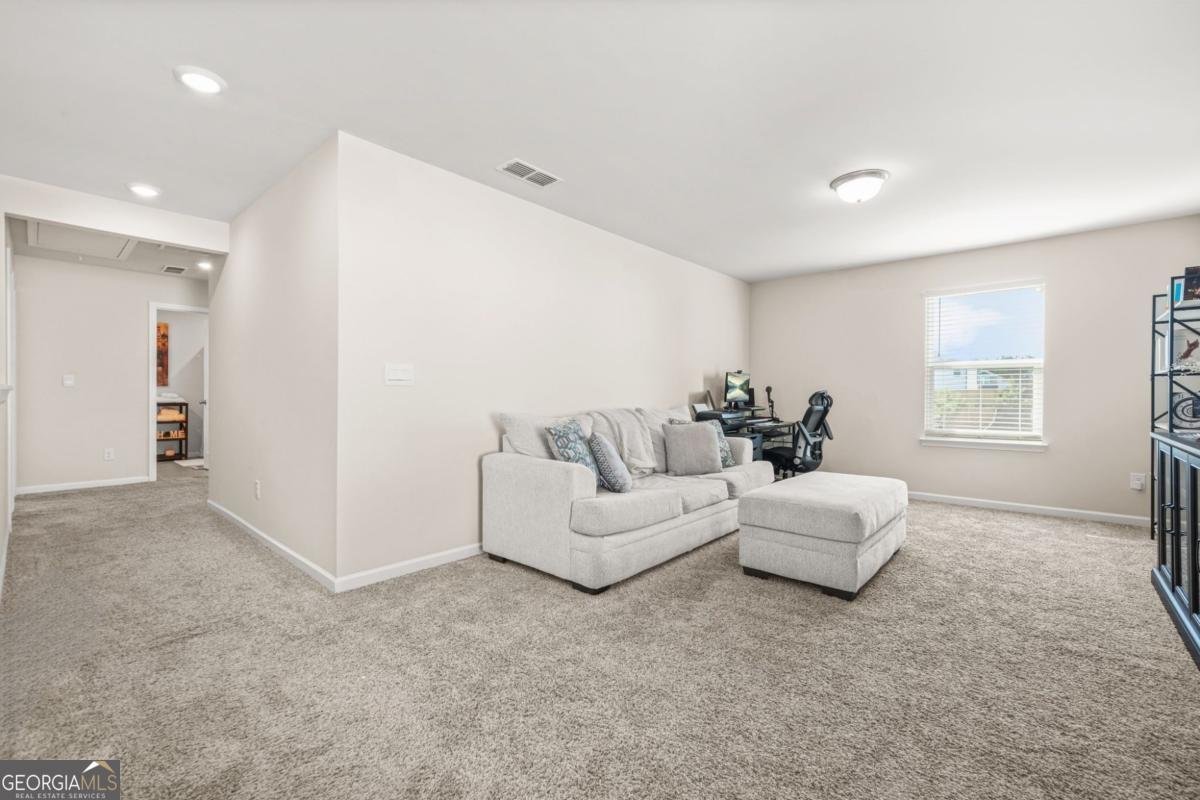 802 Milo Bay Street Loganville - 22