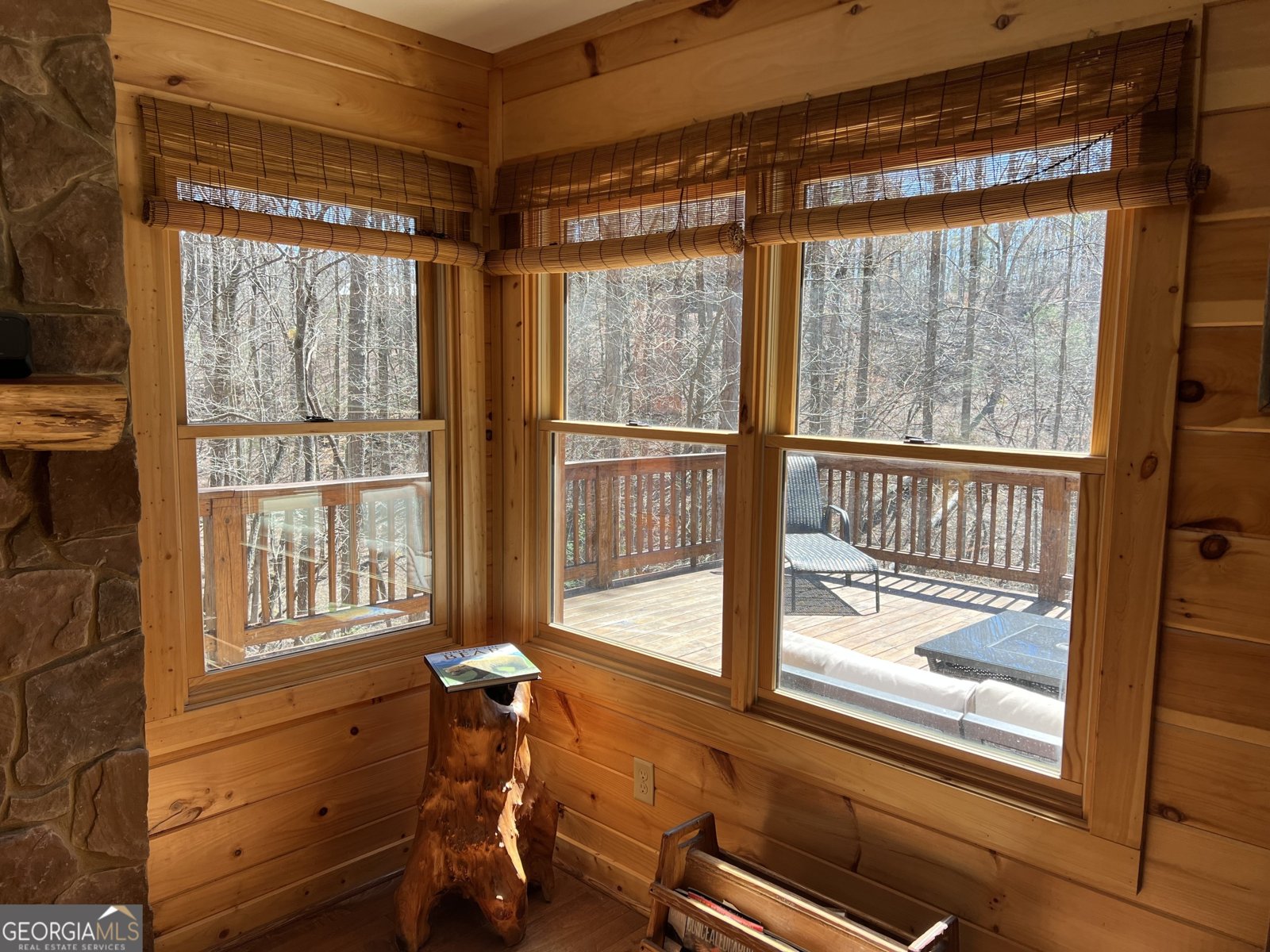 151 Oneida Circle Ellijay - 5