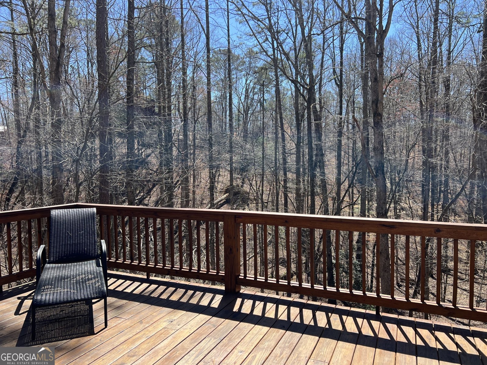 151 Oneida Circle Ellijay - 6