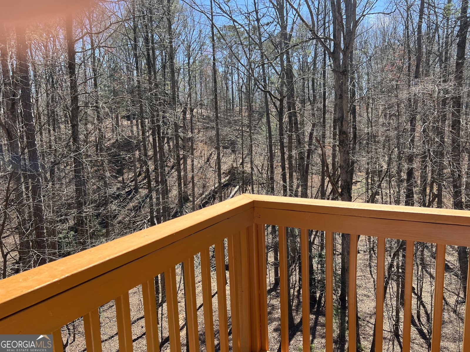 151 Oneida Circle Ellijay - 7