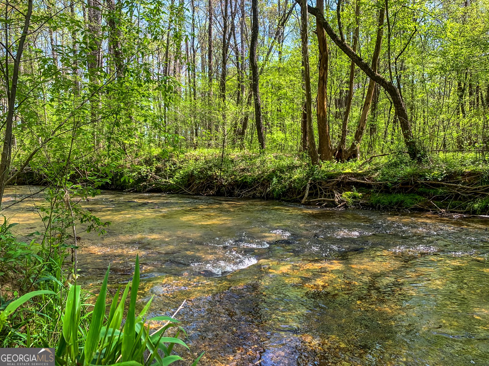 428 Licklog Road Ellijay - 2