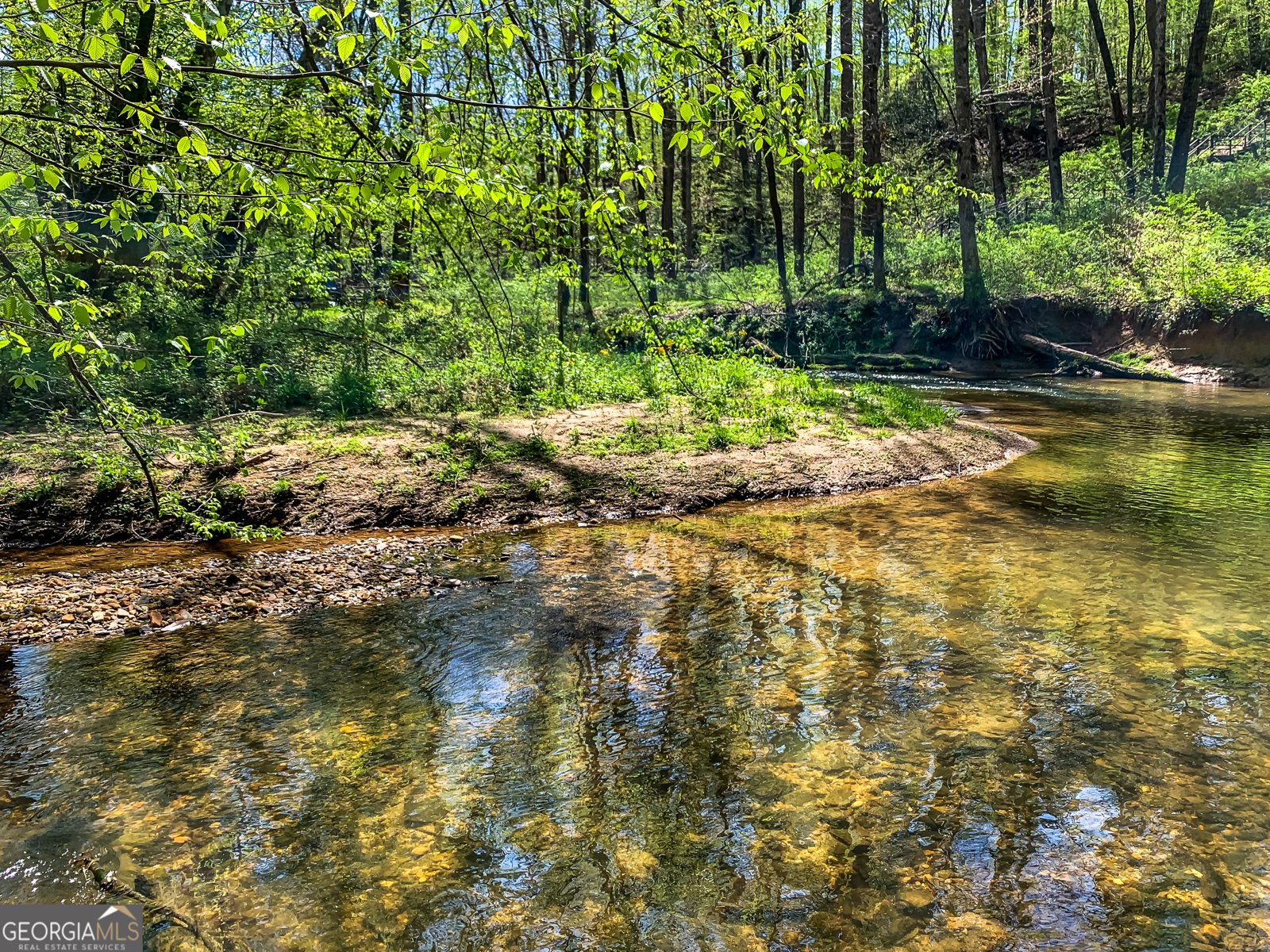 428 Licklog Road Ellijay - 46