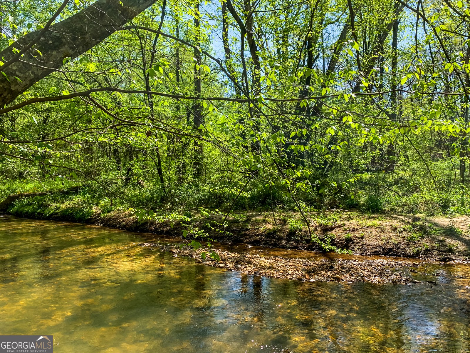 428 Licklog Road Ellijay - 47