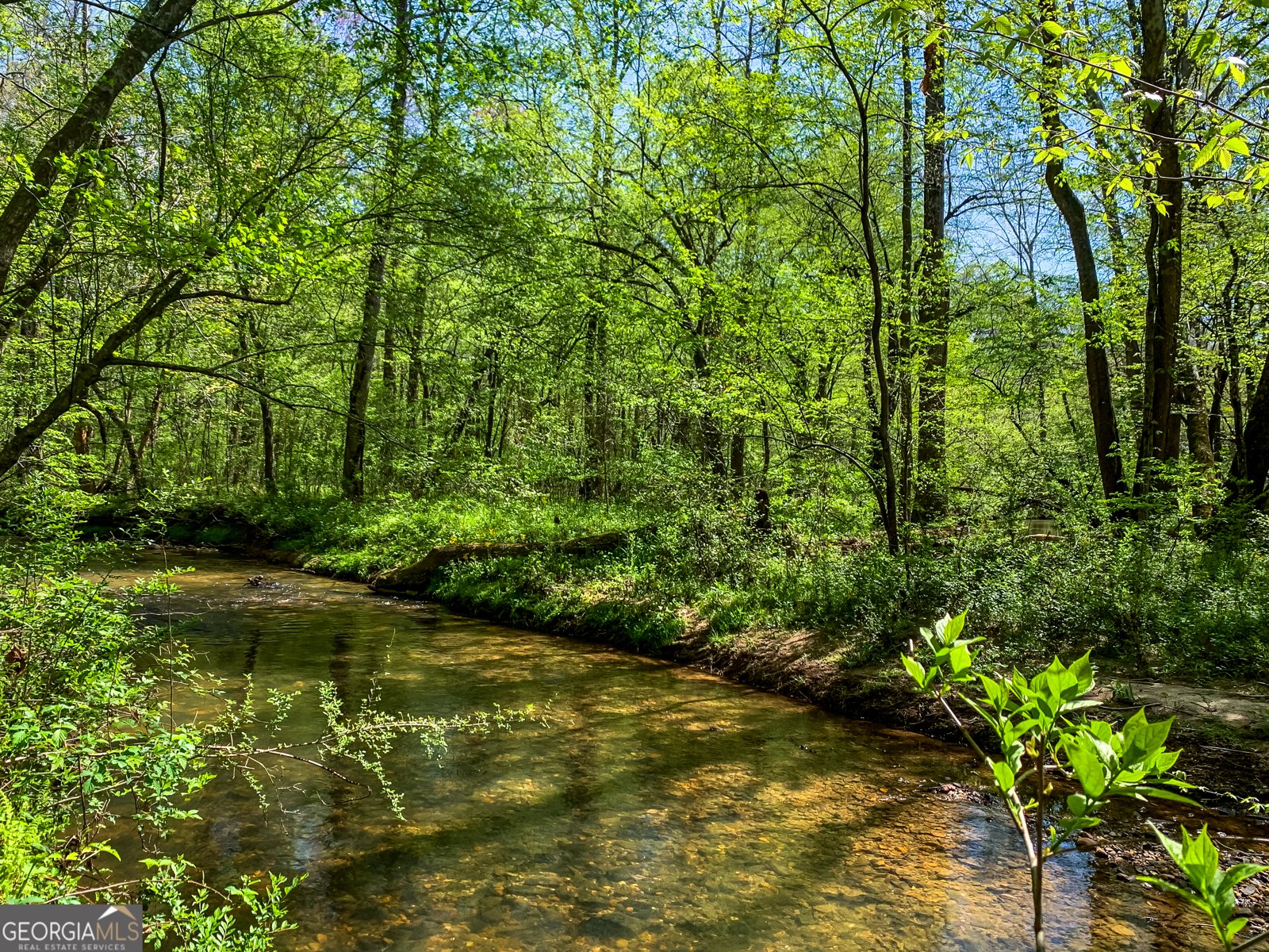 428 Licklog Road Ellijay - 48
