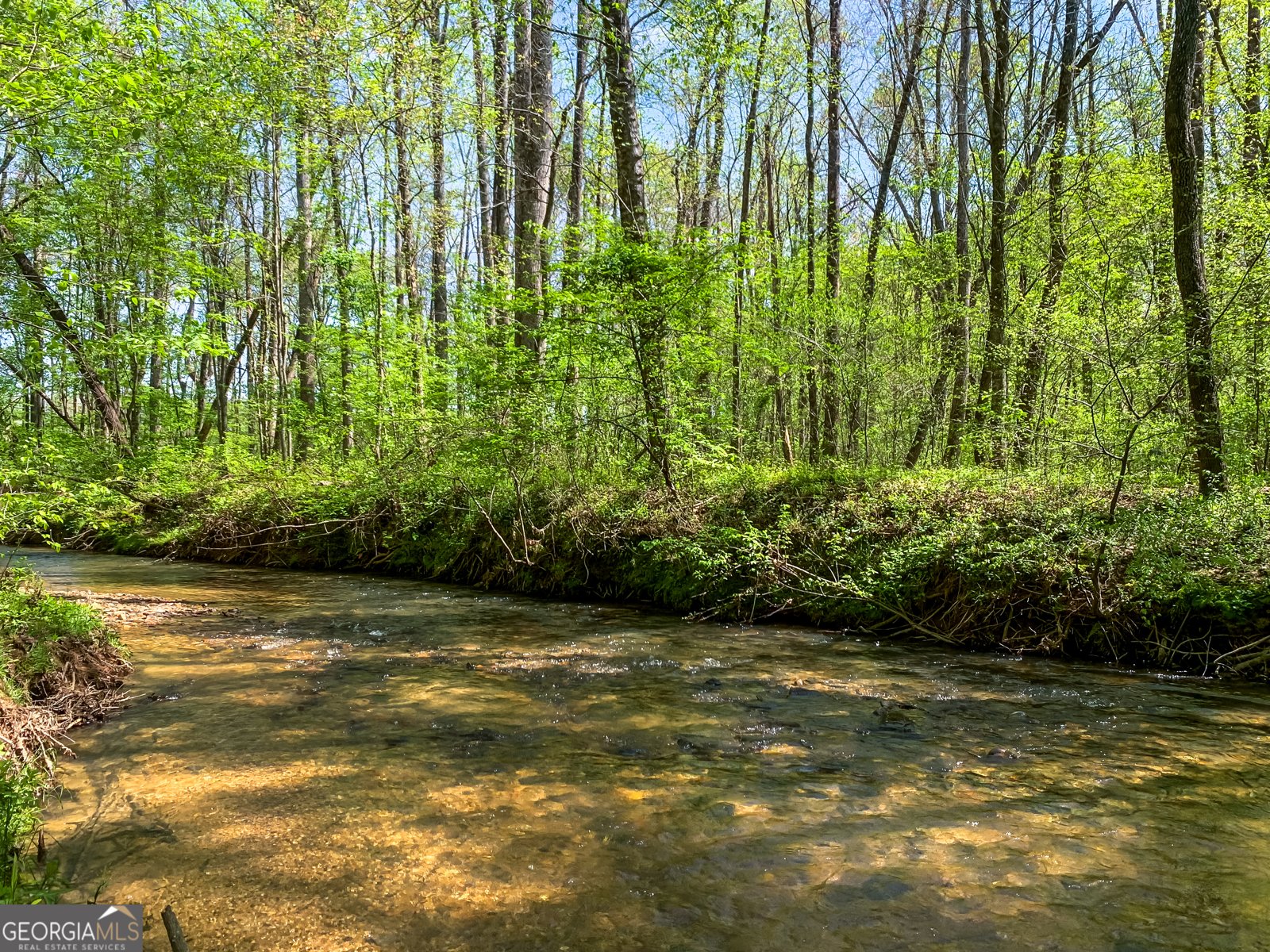 428 Licklog Road Ellijay - 5