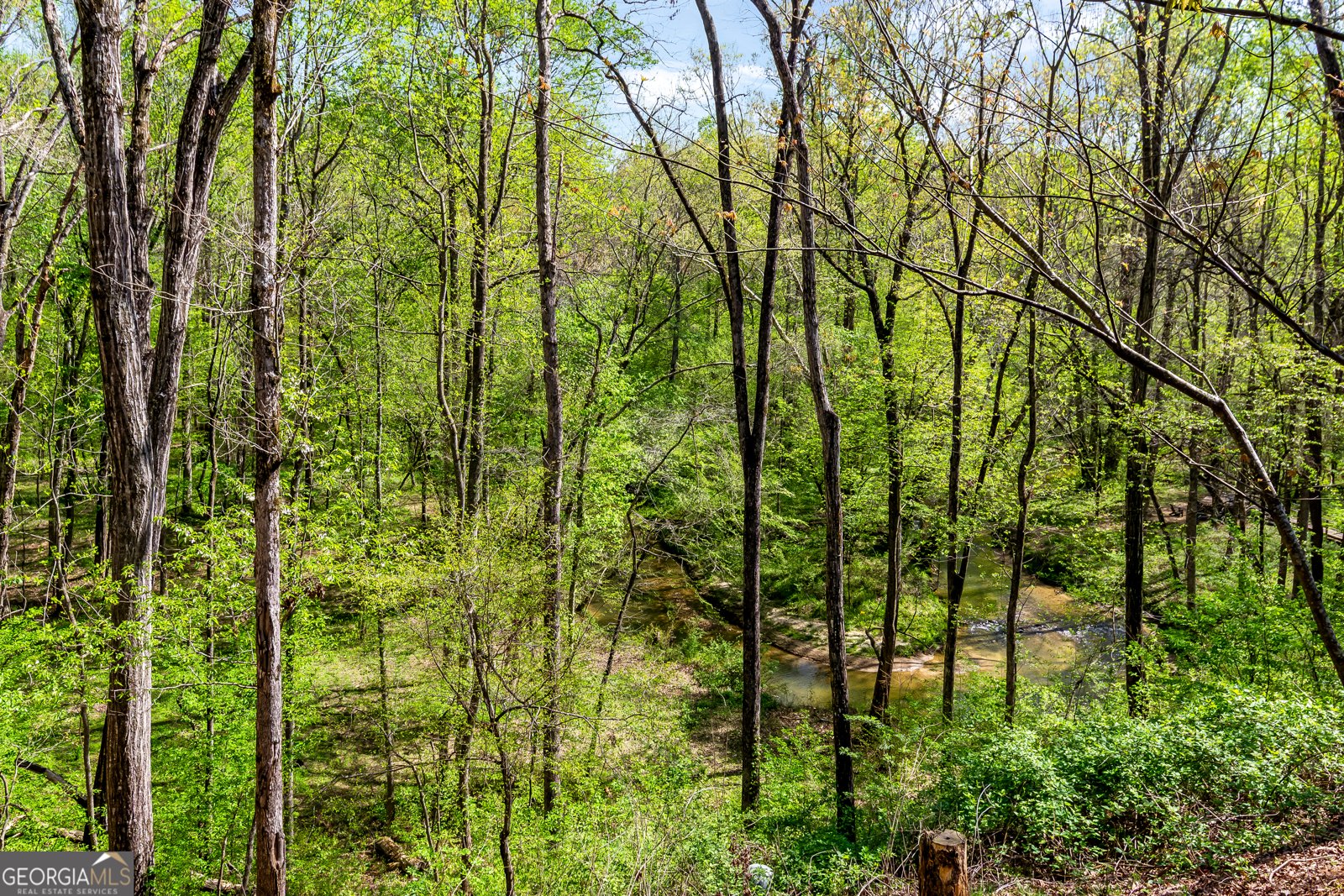 428 Licklog Road Ellijay - 55