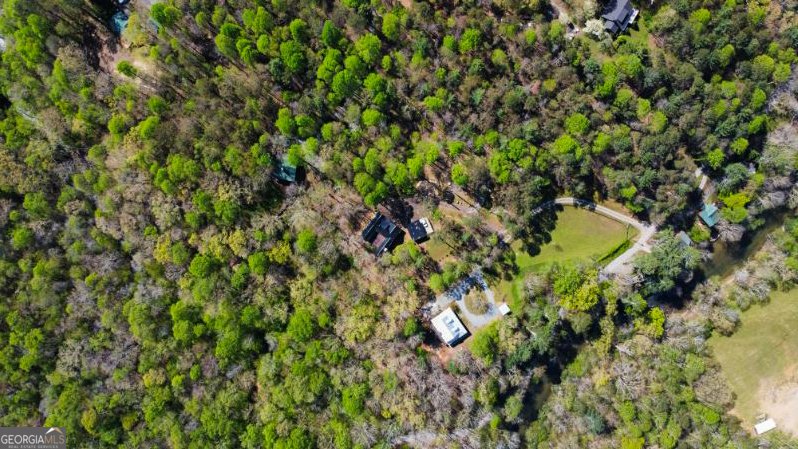 428 Licklog Road Ellijay - 58
