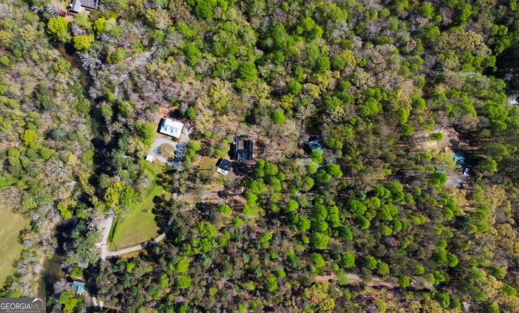 428 Licklog Road Ellijay - 59