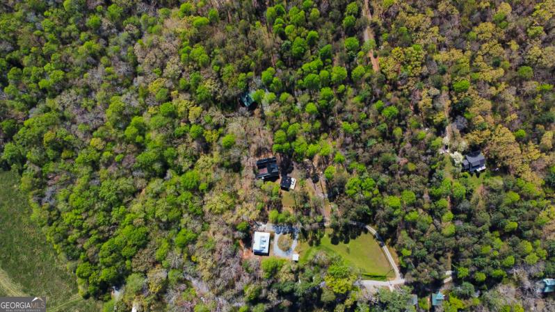 428 Licklog Road Ellijay - 60
