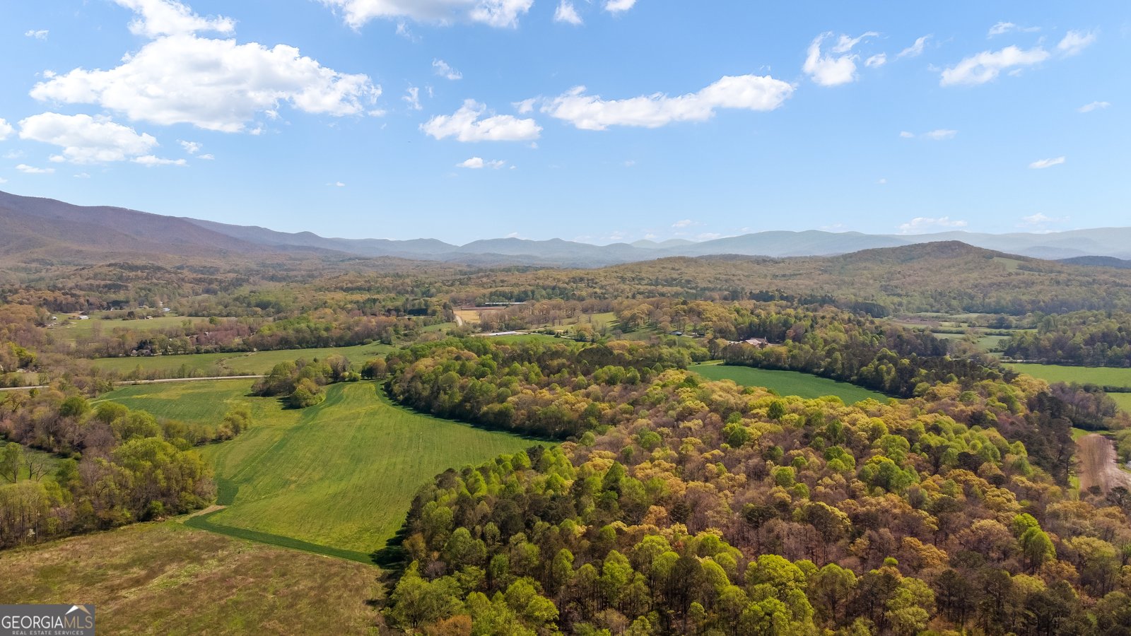 428 Licklog Road Ellijay - 63