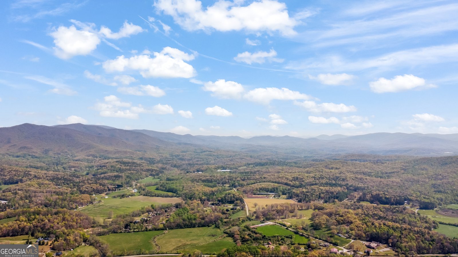 428 Licklog Road Ellijay - 66