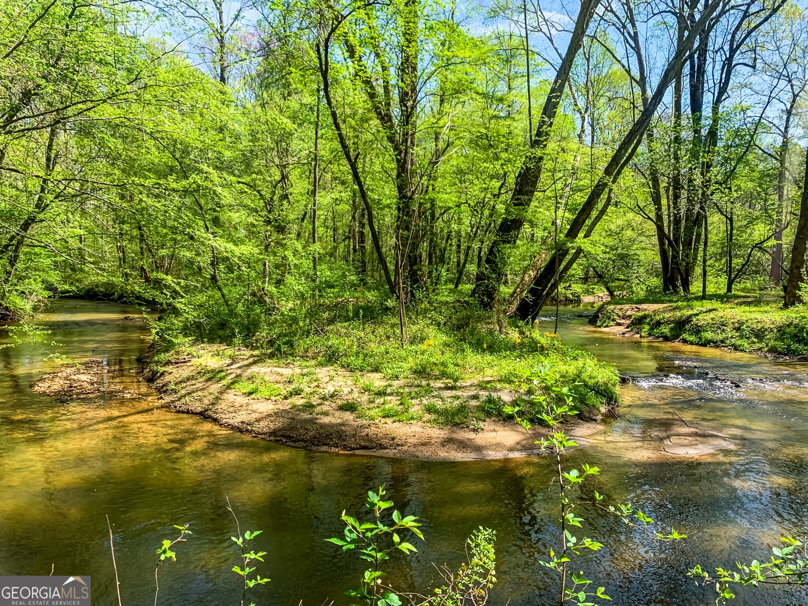 428 Licklog Road Ellijay - 7