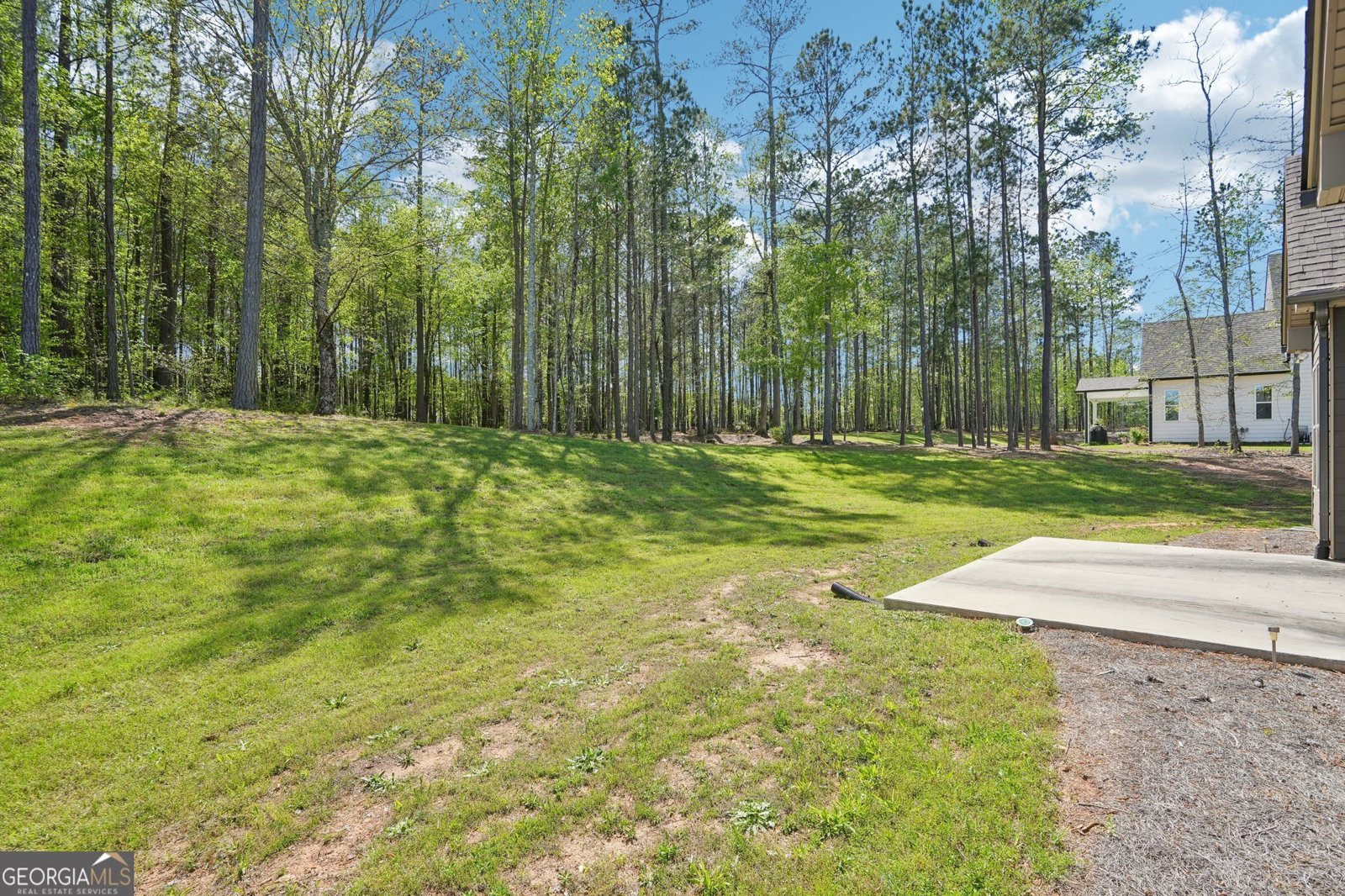 76 Greyfairs Avenue Senoia - 49