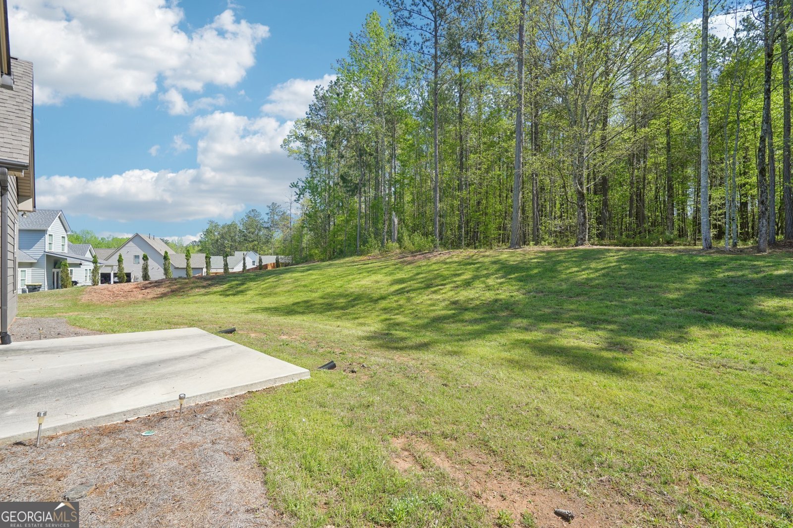 76 Greyfairs Avenue Senoia - 51