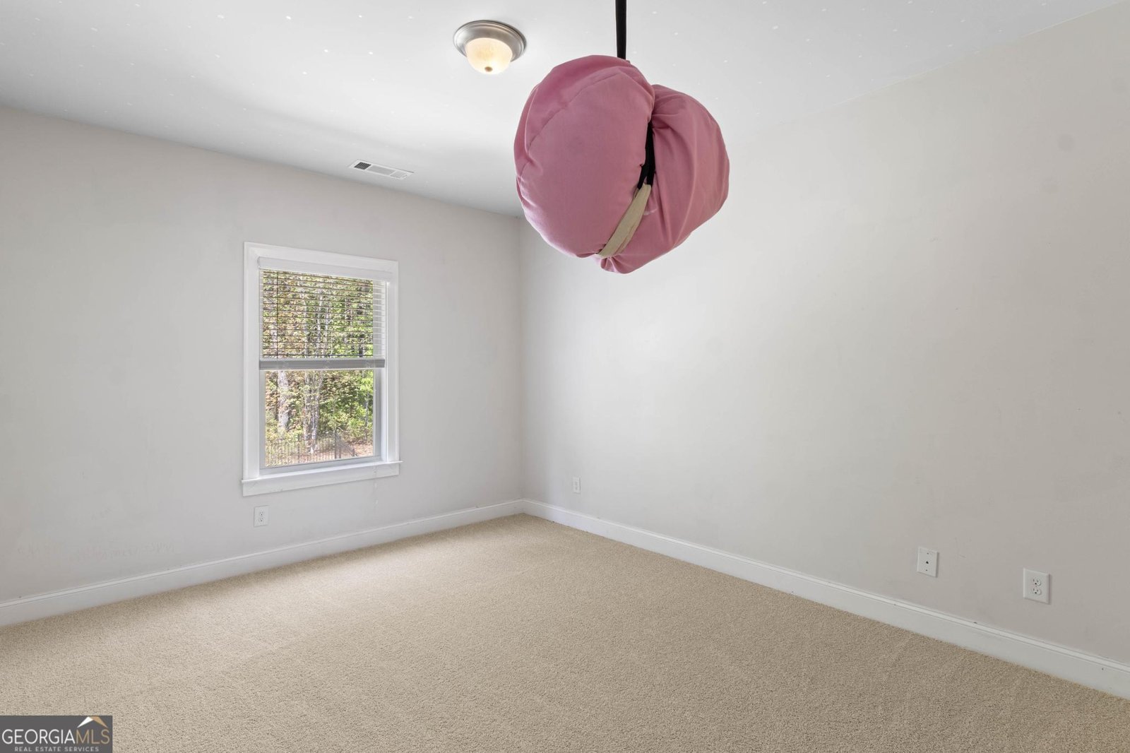 266 Shellbark Drive McDonough - 28