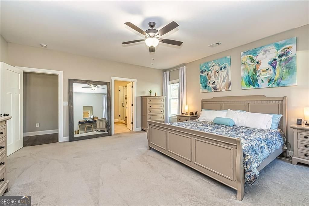 117 Lake Point Williamson - 21