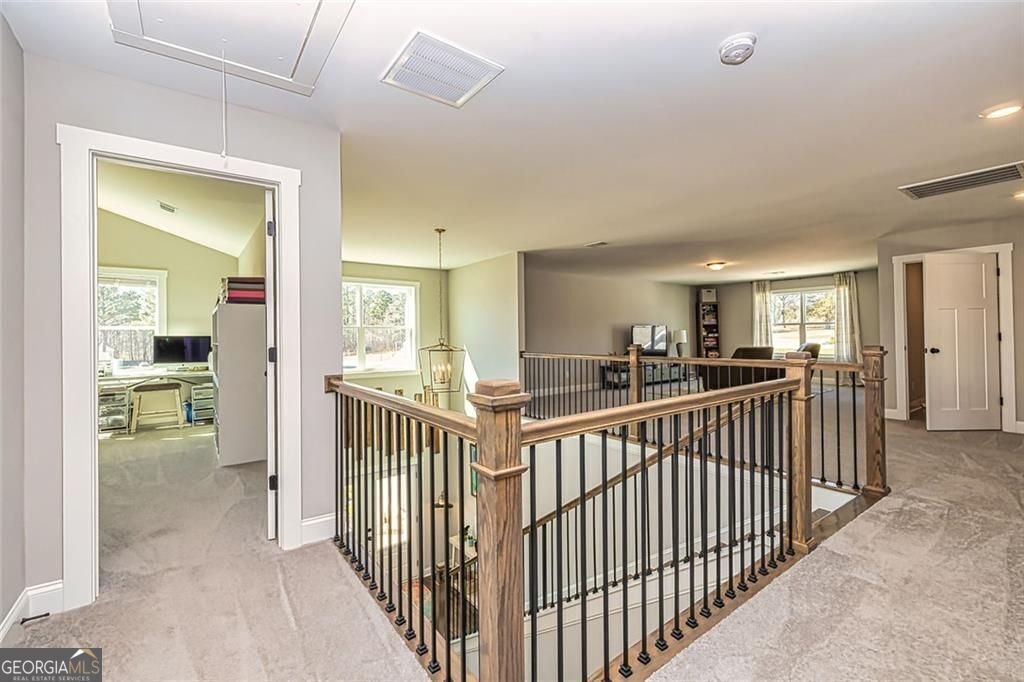 117 Lake Point Williamson - 28
