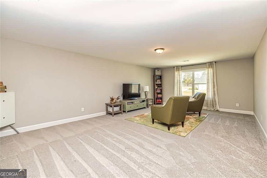 117 Lake Point Williamson - 30