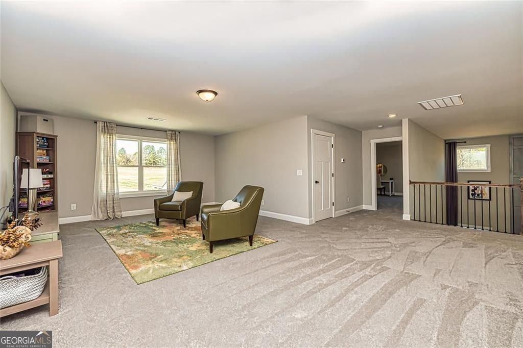 117 Lake Point Williamson - 31