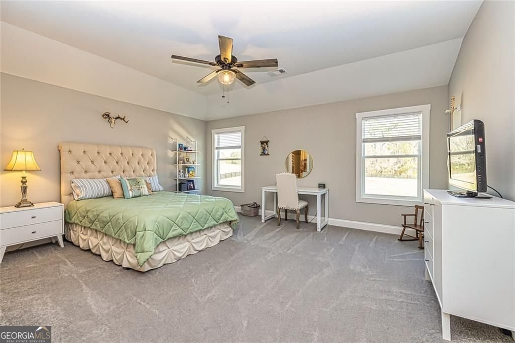 117 Lake Point Williamson - 34