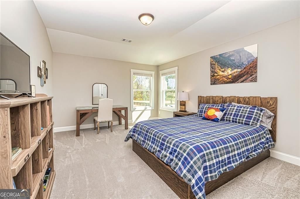 117 Lake Point Williamson - 37