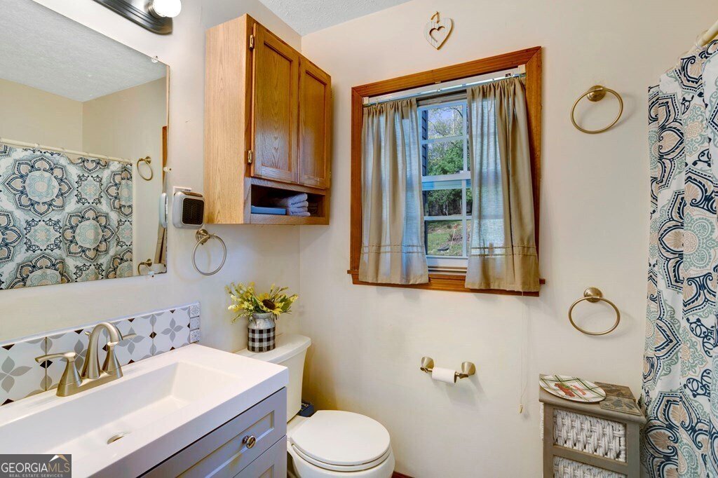329 Ed King Road Blairsville - 18