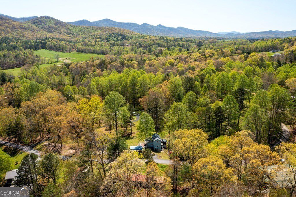 329 Ed King Road Blairsville - 37