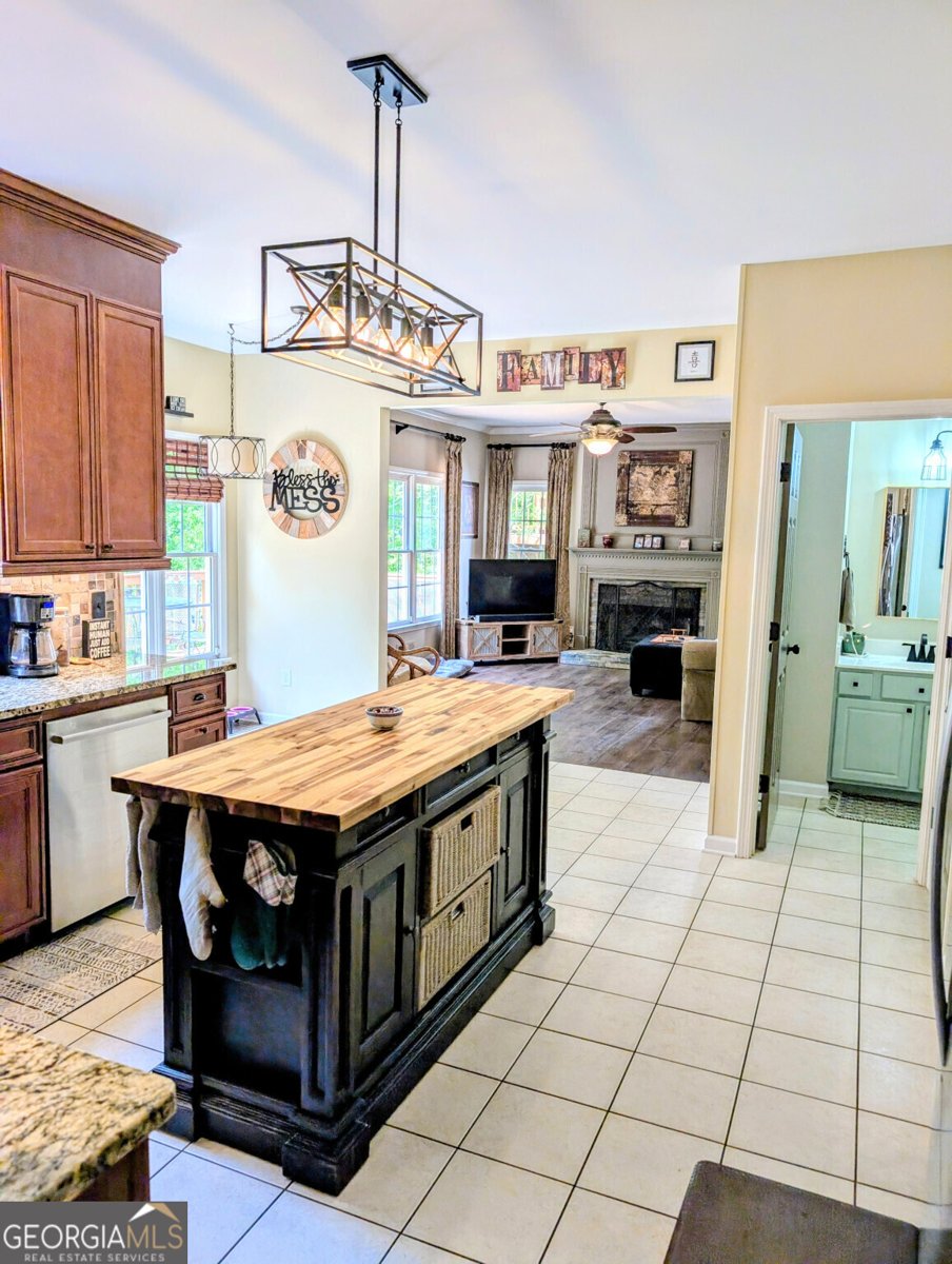 1581 Shetland Pony Court Suwanee - 10