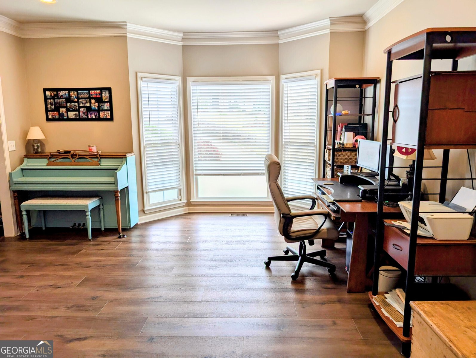 1581 Shetland Pony Court Suwanee - 4