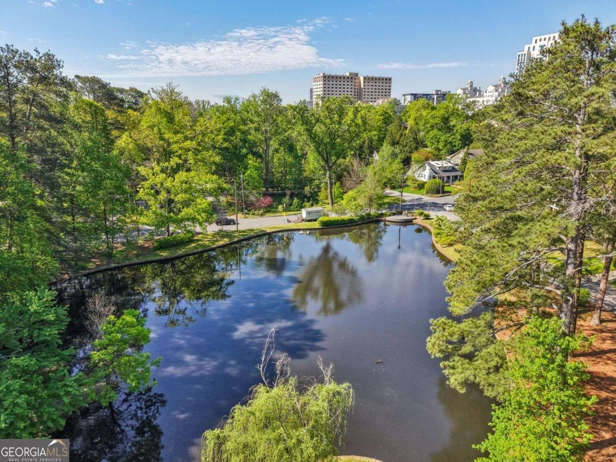 55 Delmont Drive Atlanta - 25