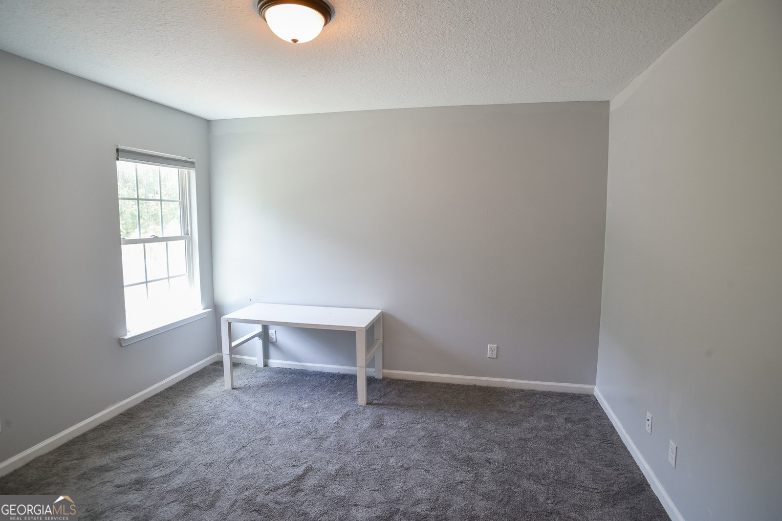 246 Avondale Drive Ludowici - 13