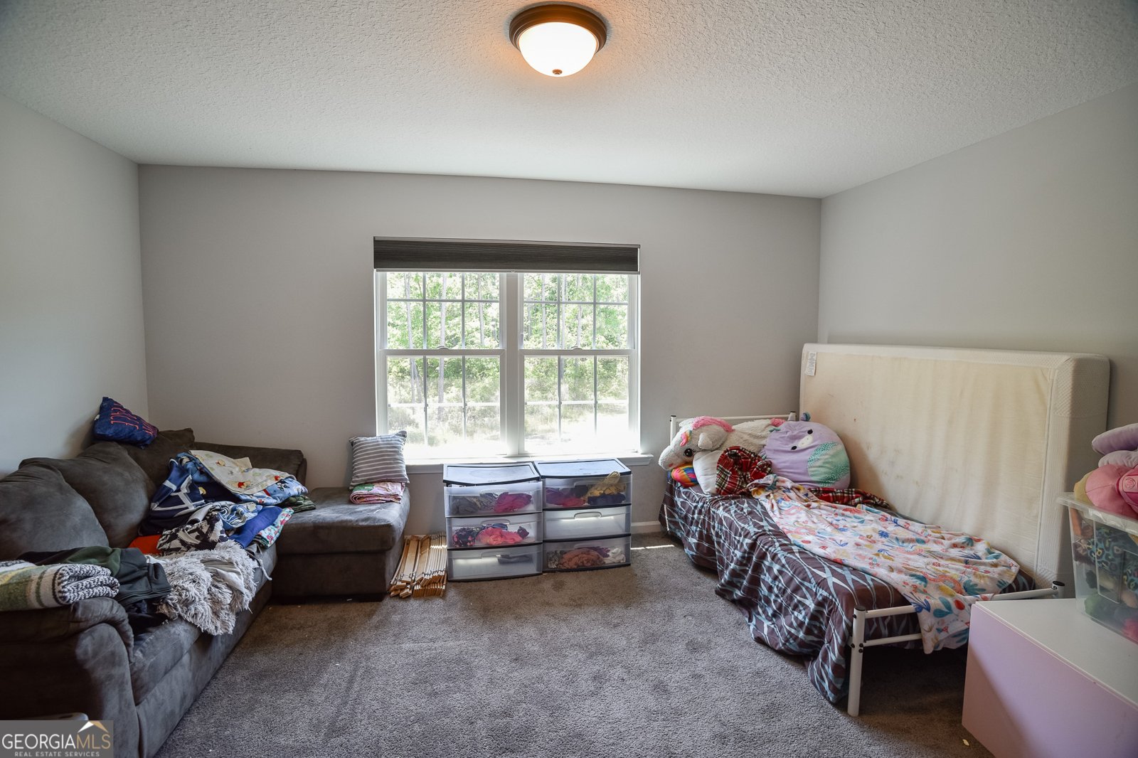 246 Avondale Drive Ludowici - 16