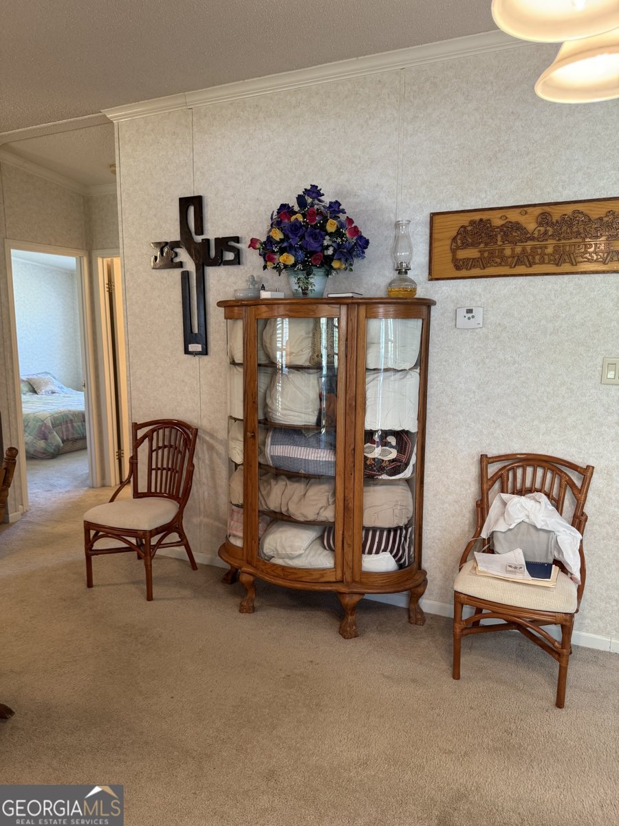 1171 Main Street Avera - 21