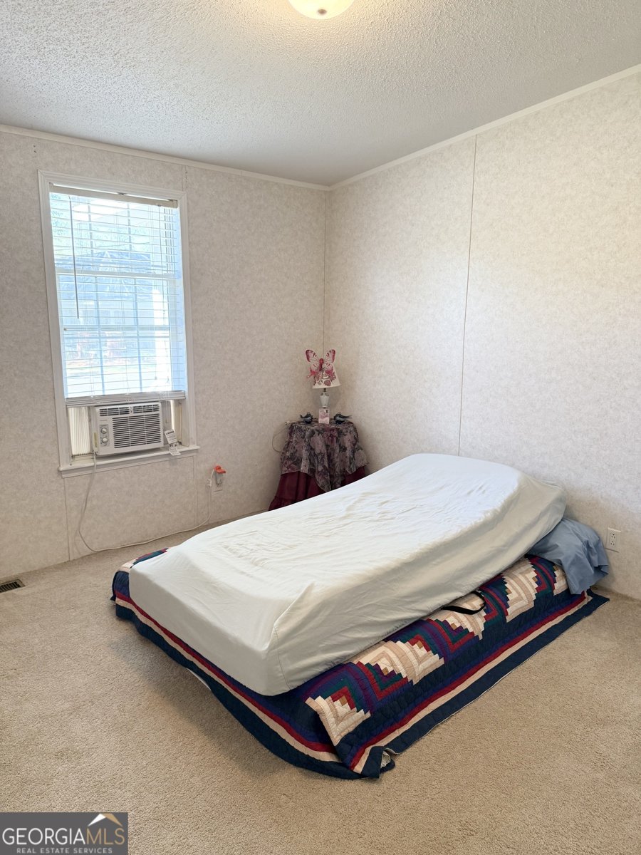 1171 Main Street Avera - 28