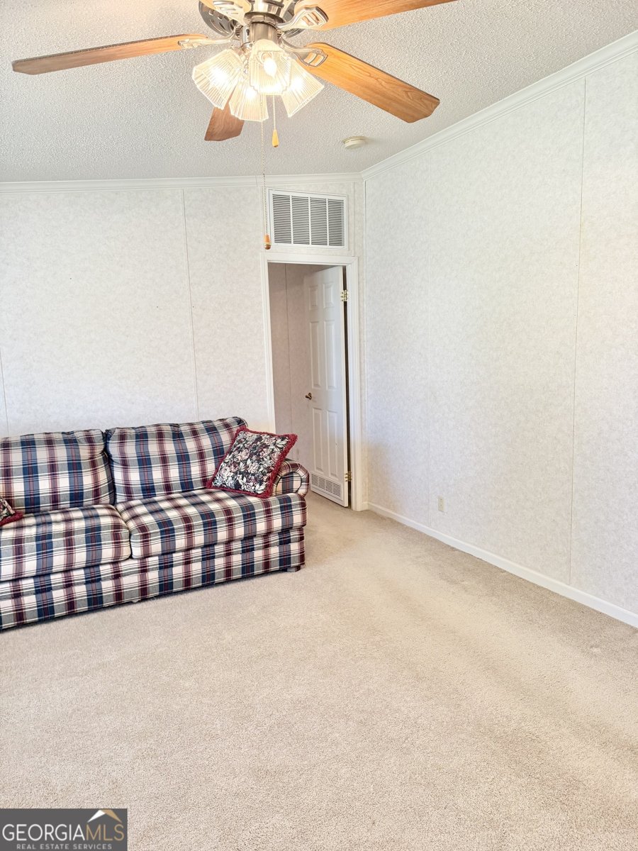 1171 Main Street Avera - 34