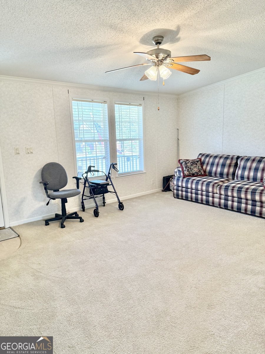 1171 Main Street Avera - 36