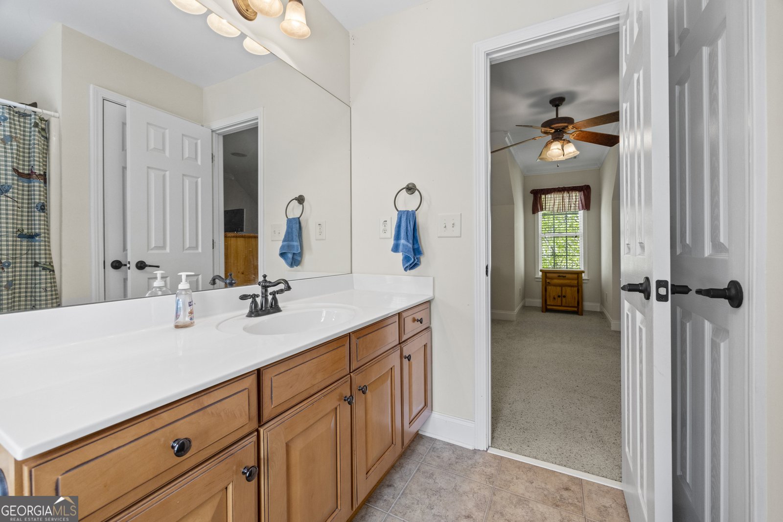 488 Brookdale Drive Lavonia - 11