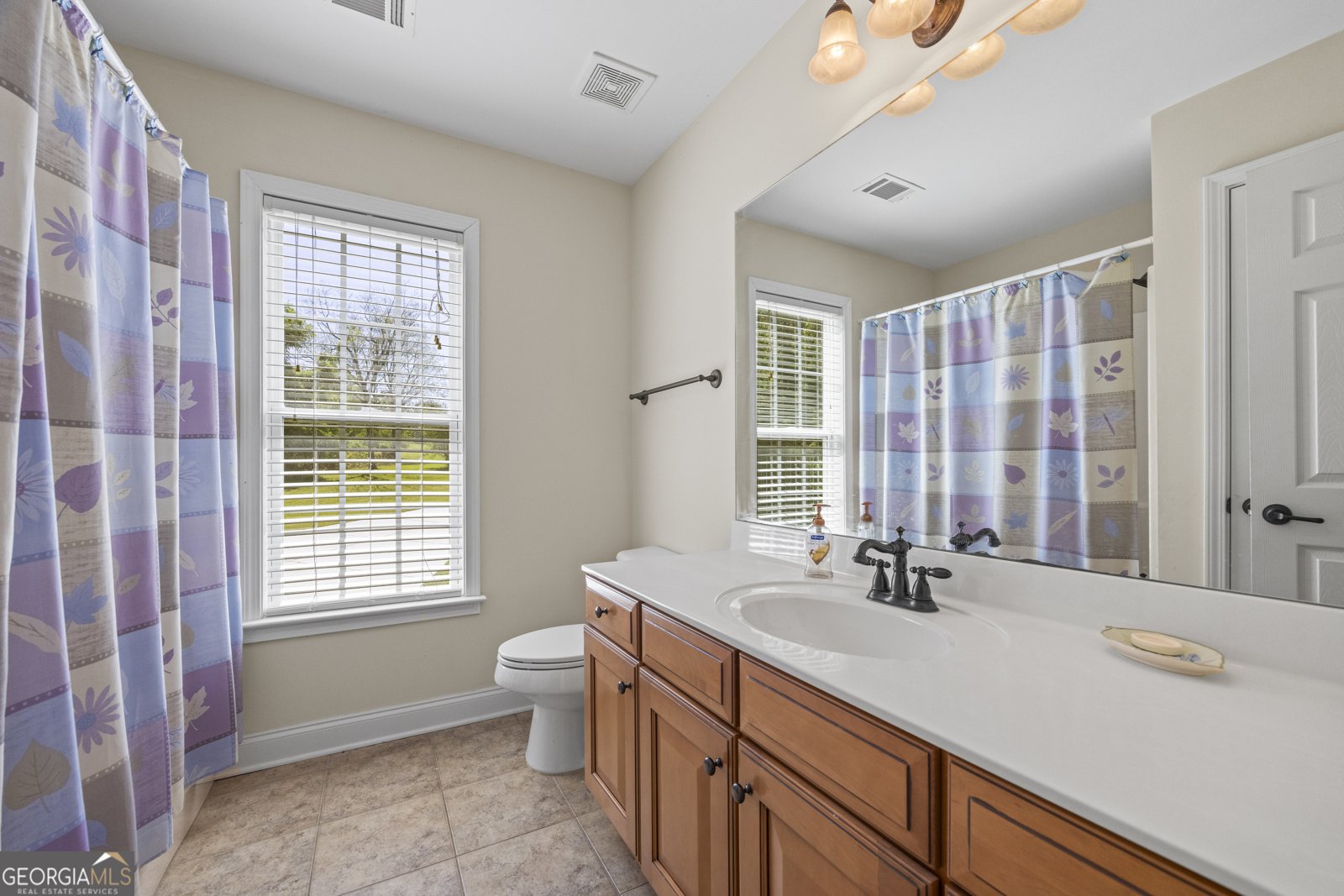 488 Brookdale Drive Lavonia - 24