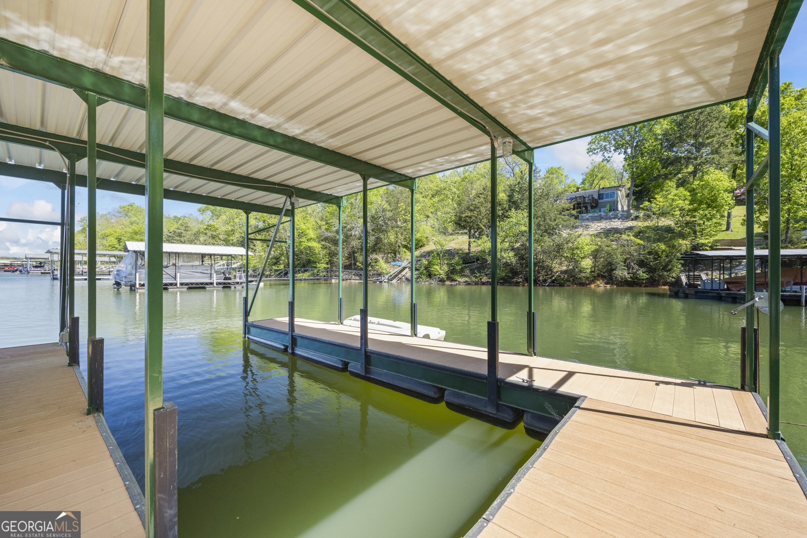 488 Brookdale Drive Lavonia - 60