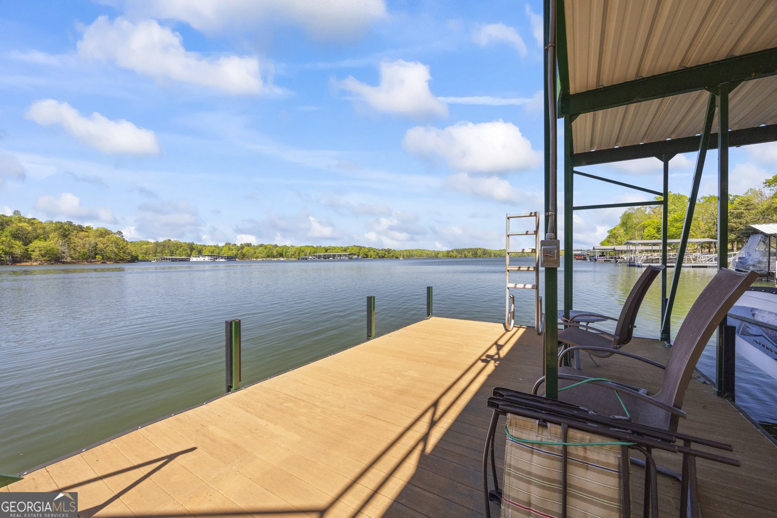 488 Brookdale Drive Lavonia - 61
