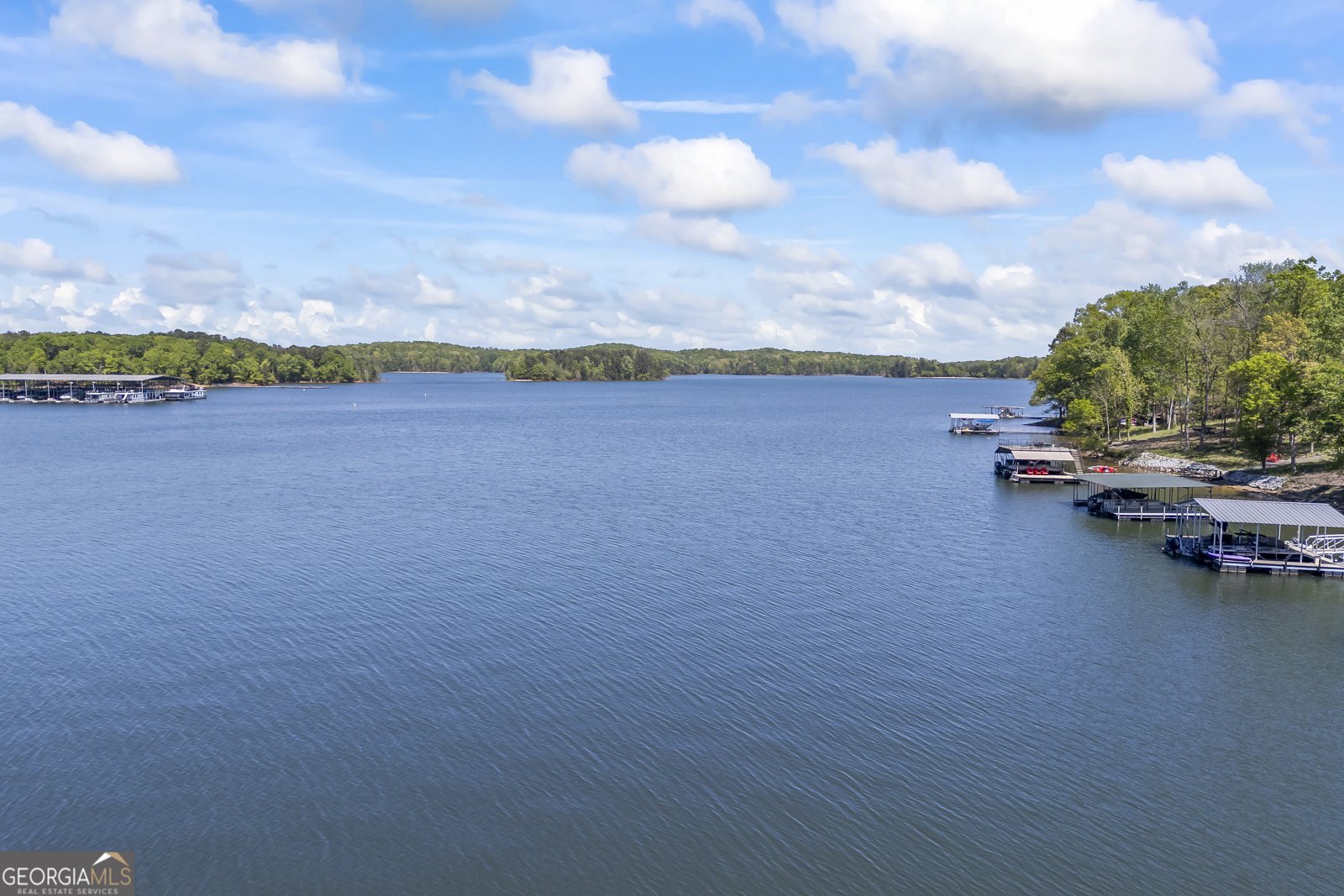 488 Brookdale Drive Lavonia - 68