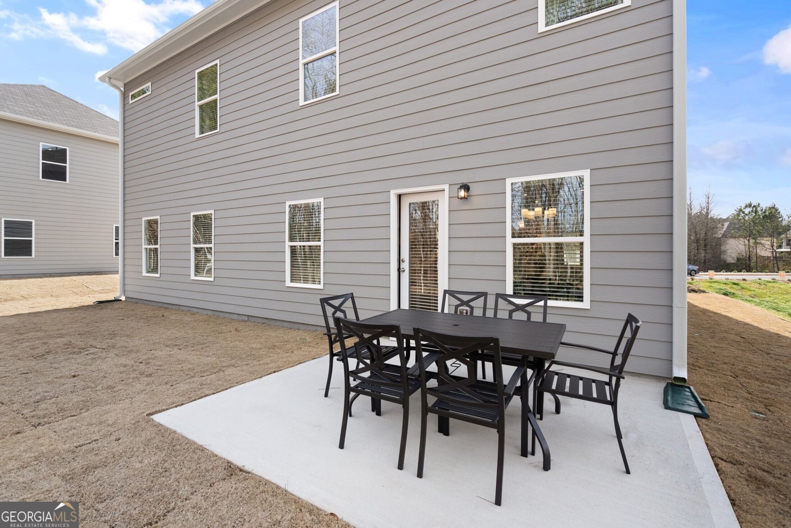 113 Silver Leaf Trace Douglasville - 38